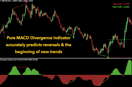 Pure MACD Divergence indicator