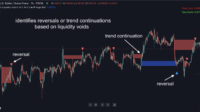 Liquidity Void