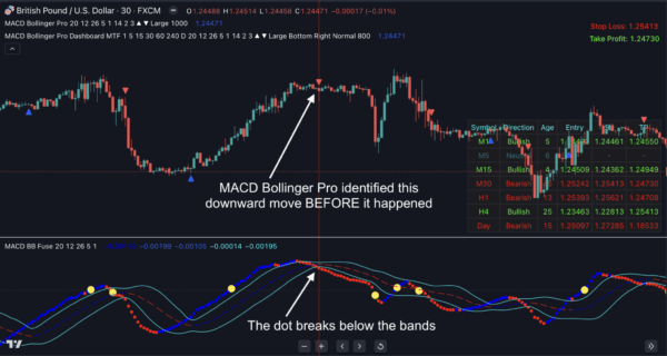 p3-2048x1092 p3-2048x1092