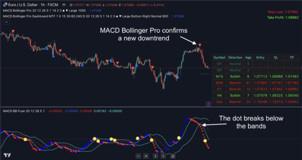 p4-2048x1087 p4-2048x1087