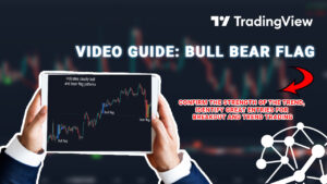 Video Guide: Bull Bear Flag Indicator for Tradingview